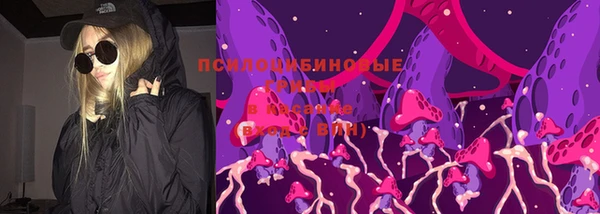 spice Осташков