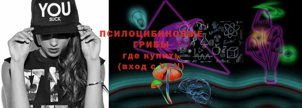 spice Осташков