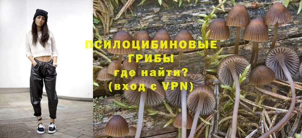 соль ск Осинники