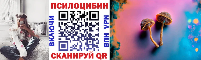 Галлюциногенные грибы Magic Shrooms  darknet официальный сайт  Старица 